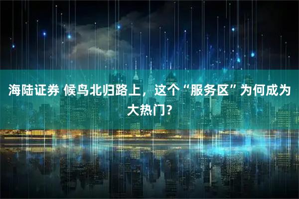 海陆证券 候鸟北归路上，这个“服务区”为何成为大热门？