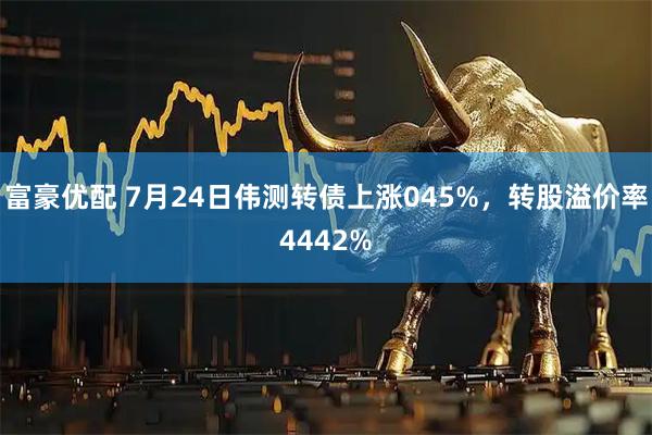 富豪优配 7月24日伟测转债上涨045%,转股溢价率4442%