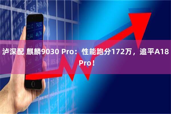 泸深配 麒麟9030 Pro：性能跑分172万，追平A18 Pro！
